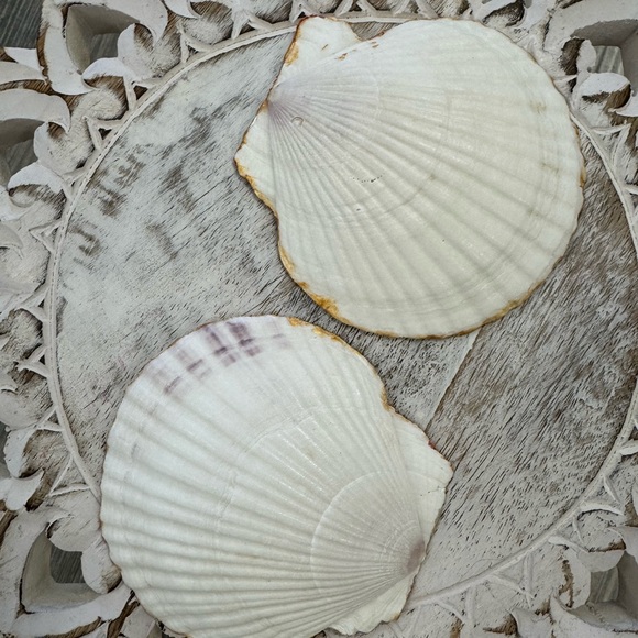 Lilly Pulitzer Fabric Shells - Picture 6 of 7